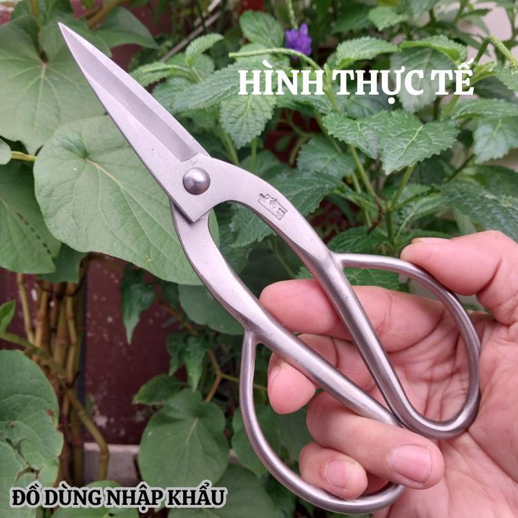 Kéo cắt tỉa cành cây bằng thép trắng đúc nguyên khối không gỉ