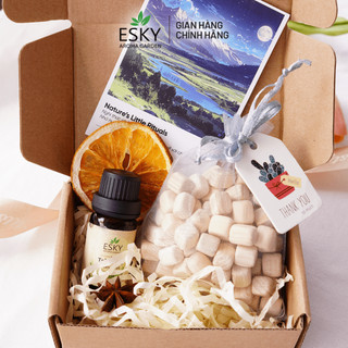 Túi Thơm Thảo Mộc ESKY Aroma Garden Trang Trí Khử Mùi Xe Ô tô Tủ Quần Áo Phòng Ngủ Túi Vải Voan Vải Bố