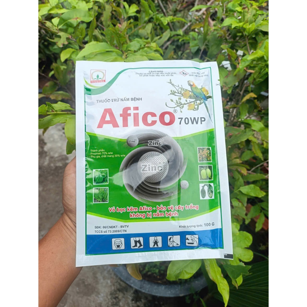 AFICO 70WP 100g - Nicotex Chuyên Xử lý cháy Lá Dừa, Mai vàng, Rẻ Chanh Tắc,Đốm lá, Nấm, Cây Trồng