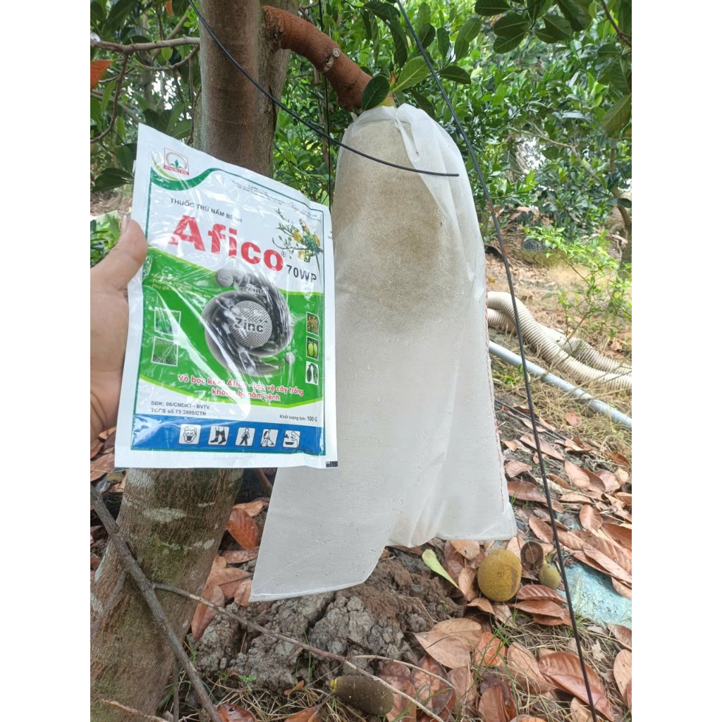 AFICO 70WP 100g - Nicotex Chuyên Xử lý cháy Lá Dừa, Mai vàng, Rẻ Chanh Tắc,Đốm lá, Nấm, Cây Trồng