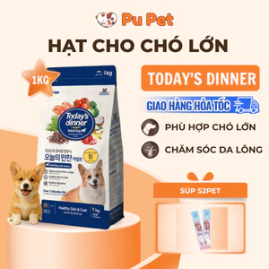 Thức Ăn Hạt Cho Chó Lớn Today's Dinner Gói 1kg Vị Gà Hỗ Trợ Tiêu Hóa Và Giảm Mùi Hôi Chất Thải