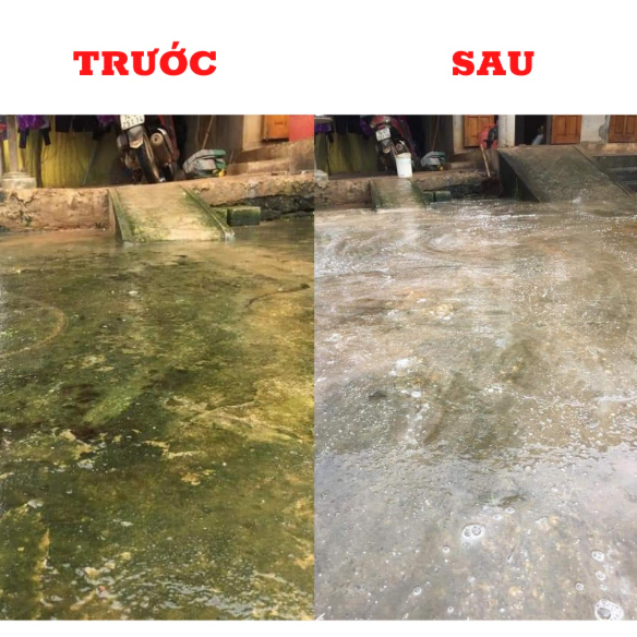 [HÀNG CHIẾT LẺ 1Kg] BỘT CLO TẨY RONG RÊ, KHỬ TRÙNG NƯỚC HỒ BƠI, NƯỚC CẤP, NƯỚC SINH HOẠT
