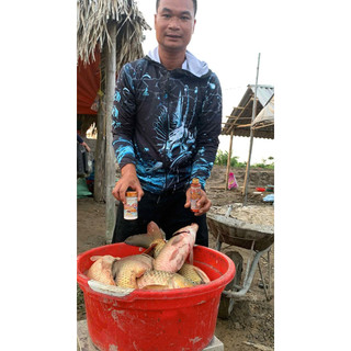 Combo mồi câu Chép Vương