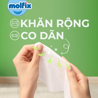 Combo 4 gói Khăn ướt Molfix Thiên nhiên Sạch khuẩn vệ sinh - 100 miếng/gói