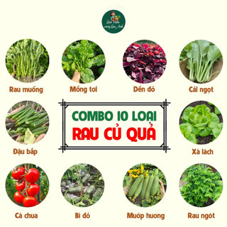 [COMBO 10 GÓI] Hạt giống Rau Củ Quả Dễ Trồng, Nhanh Thu Hoạch, Năng Suất Cao, Trồng Quanh Năm