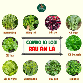 [COMBO 10 GÓI] Hạt Giống Rau Ăn Lá, Dễ Trồng, Nhanh Thu Hoạch, Năng Suất Cao, Trồng Quanh Năm
