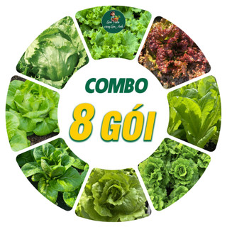 [COMBO 8 GÓI] Hạt Giống Xà Lách Dễ Trồng, Chịu Nhiệt Tốt, Sinh Trưởng Khỏe, Nhanh Thu Hoạch