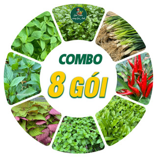 [COMBO 8 GÓI] Hạt Giống Rau Thơm Hành Lá, Rau Mùi, Bạc Hà, Ngò Gai, Húng Quế, Kinh Giới, Tía Tô, Ớt