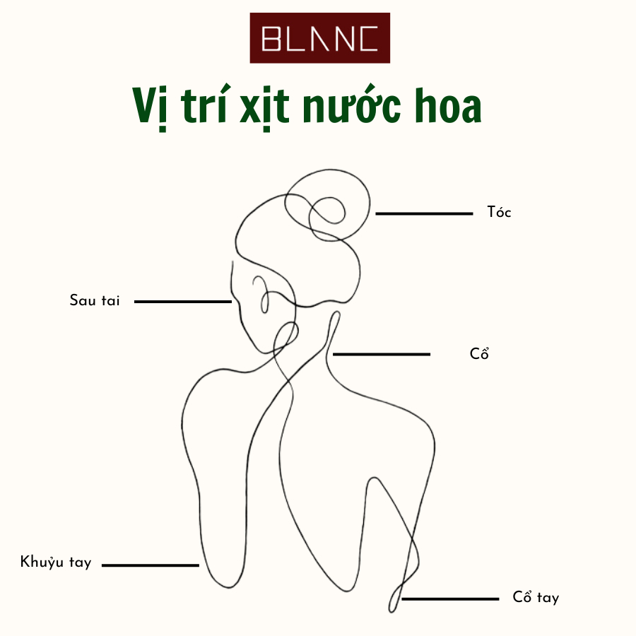 Combo 5 Lọ Mẫu Thử Dung Tích 2ml Unisex BLANC PERFUME, Set nước hoa Diptyque, Set vial Nước Hoa Lôi Cuốn, Sang Trọng | BigBuy360 - bigbuy360.vn