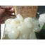 70K/01KG HẠT ĐÁC LỰA 100% DẺO SIZE NHỎ-TRUNG (CHUẨN PHA CHẾ)