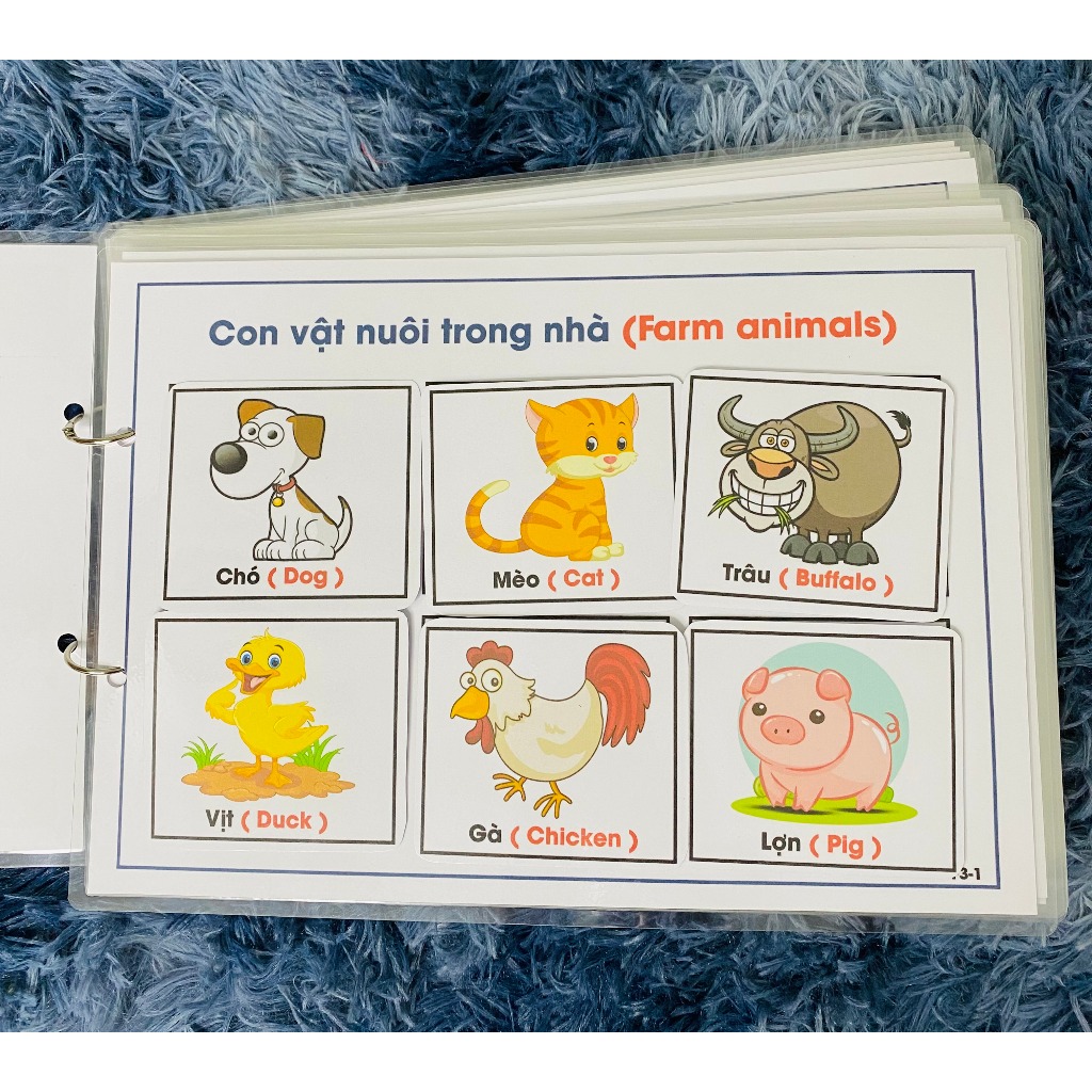 Bộ Thế Giới Động Vật - Học Liệu Bóc Dán Montessori Đa Dạng Chủ Đề Cho Bé 1-6 Tuổi -Song Ngữ Anh Việt