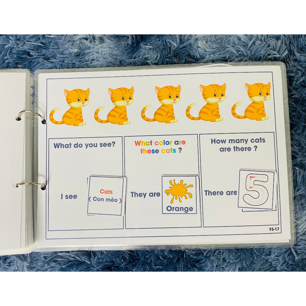 Bộ Thế Giới Động Vật - Học Liệu Bóc Dán Montessori Đa Dạng Chủ Đề Cho Bé 1-6 Tuổi -Song Ngữ Anh Việt