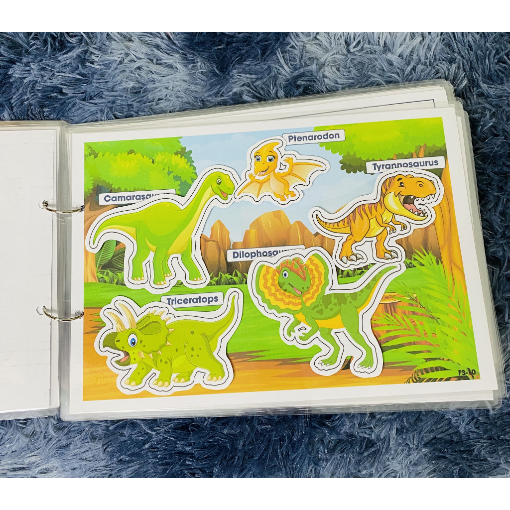 Bộ Thế Giới Động Vật - Học Liệu Bóc Dán Montessori Đa Dạng Chủ Đề Cho Bé 1-6 Tuổi -Song Ngữ Anh Việt