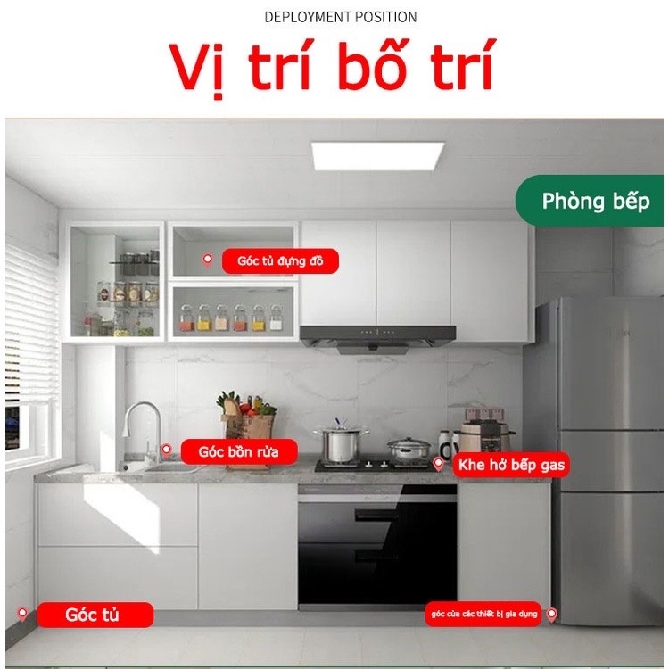 Bột Diệt Kiến Gián TẾT GỐC - Hiệu Quả NHANH, An Toàn Cho Nhà Có Trẻ Em & Vật Nuôi | Túi 50gr