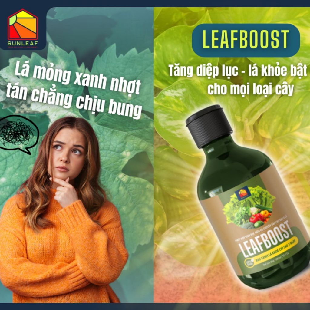 Kích Rễ Bung Chồi & Kích Mầm Hoa Rau, Dưỡng Lá Cho Rau Màu Phong Lan Cây Cảnh Hữu Cơ SUNLEAF