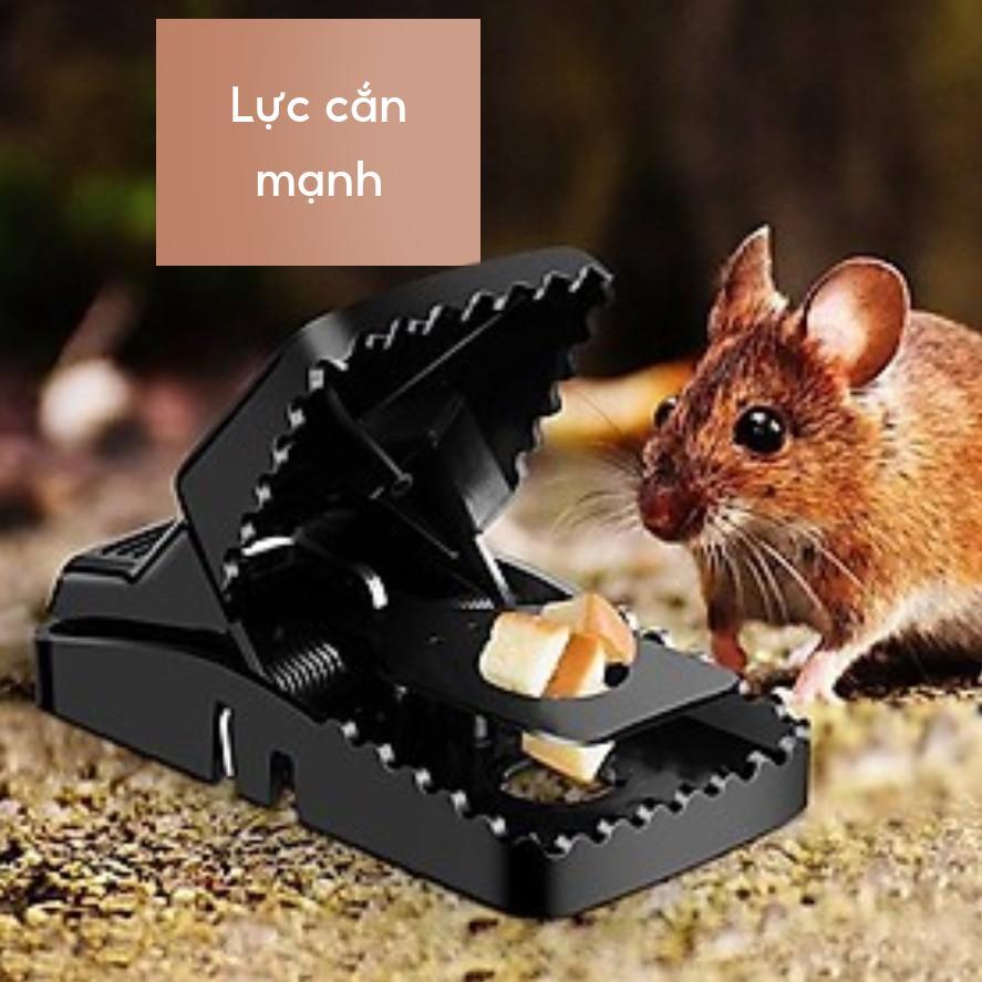 BẪY CHUỘT THÔNG MINH SIÊU NHẠY - Đập Là Bắt, An Toàn Tuyệt Đối, Sạch Sẽ Không Mùi