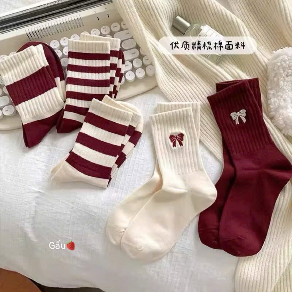 Set 10 đôi tất cổ cao nữ cute nhiều mẫu