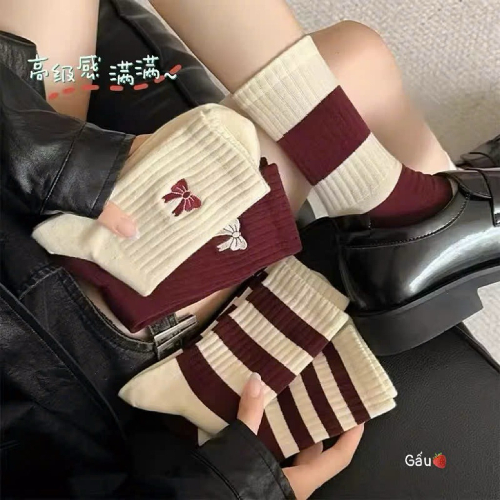 Set 10 đôi tất cổ cao nữ cute nhiều mẫu