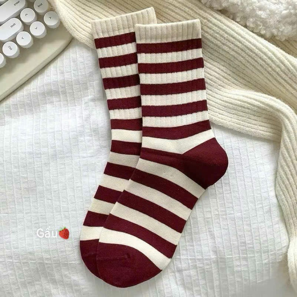 Set 10 đôi tất cổ cao nữ cute nhiều mẫu