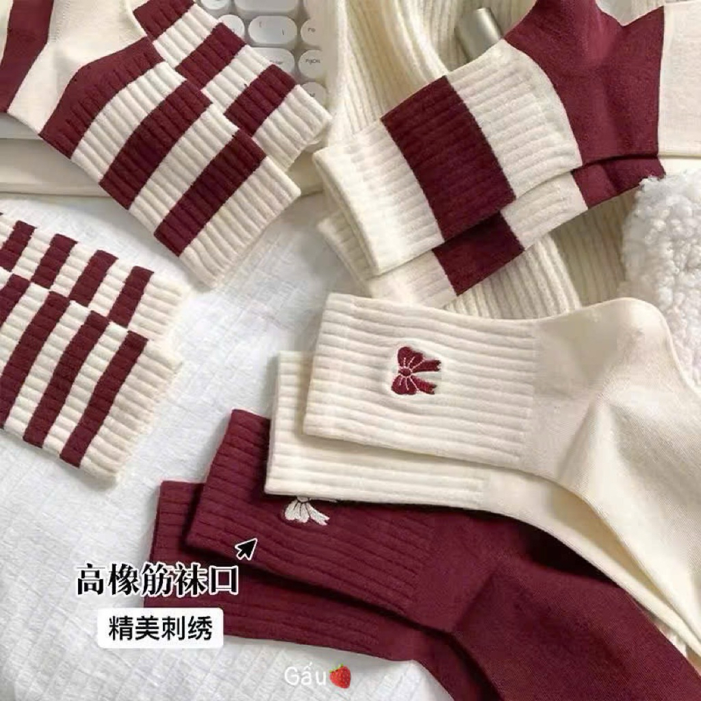 Set 10 đôi tất cổ cao nữ cute nhiều mẫu