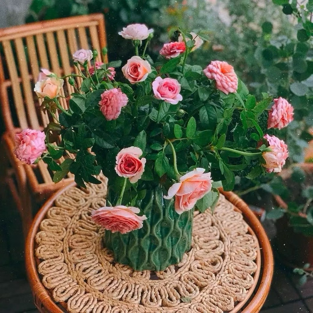 [ loại 1 ] Thảm cói , tấm lót cói hình tròn đa dạng họa tiết để nót nồi , lót bình hoa decor trang trí