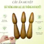 Cây day ấn huyệt bằng gỗ thơm giúp đả thông kinh mạch và lưu thông khí huyết - Mỹ Nghệ Dưỡng Sinh HT