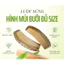 Lược sừng múi bưởi khía cao cấp chải tóc gỡ rối và massage da đầu- MỸ NGHỆ DƯỠNG SINH HT