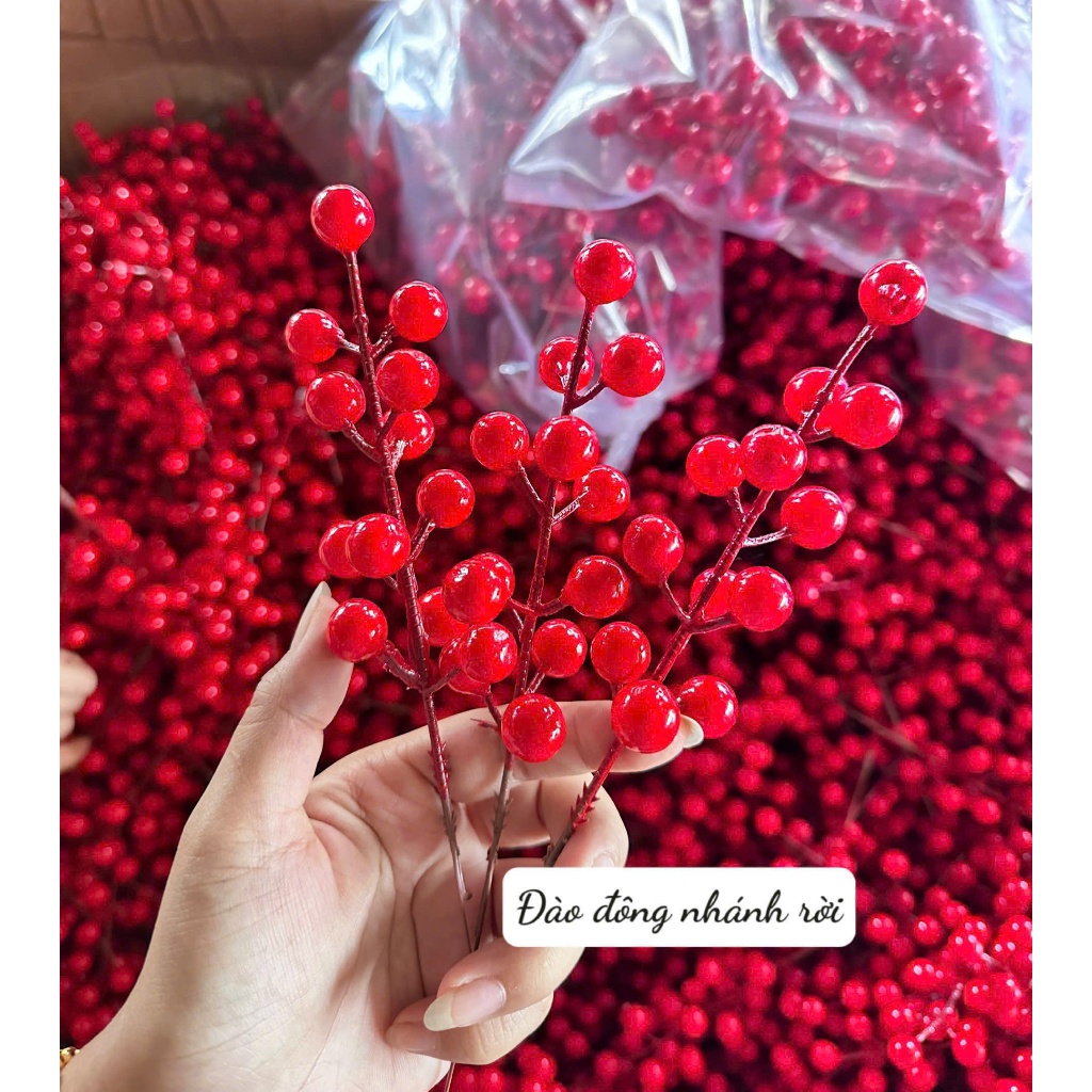 COMBO 50 CÀNH HOA ĐÀO ĐÔNG DECOR TẾT