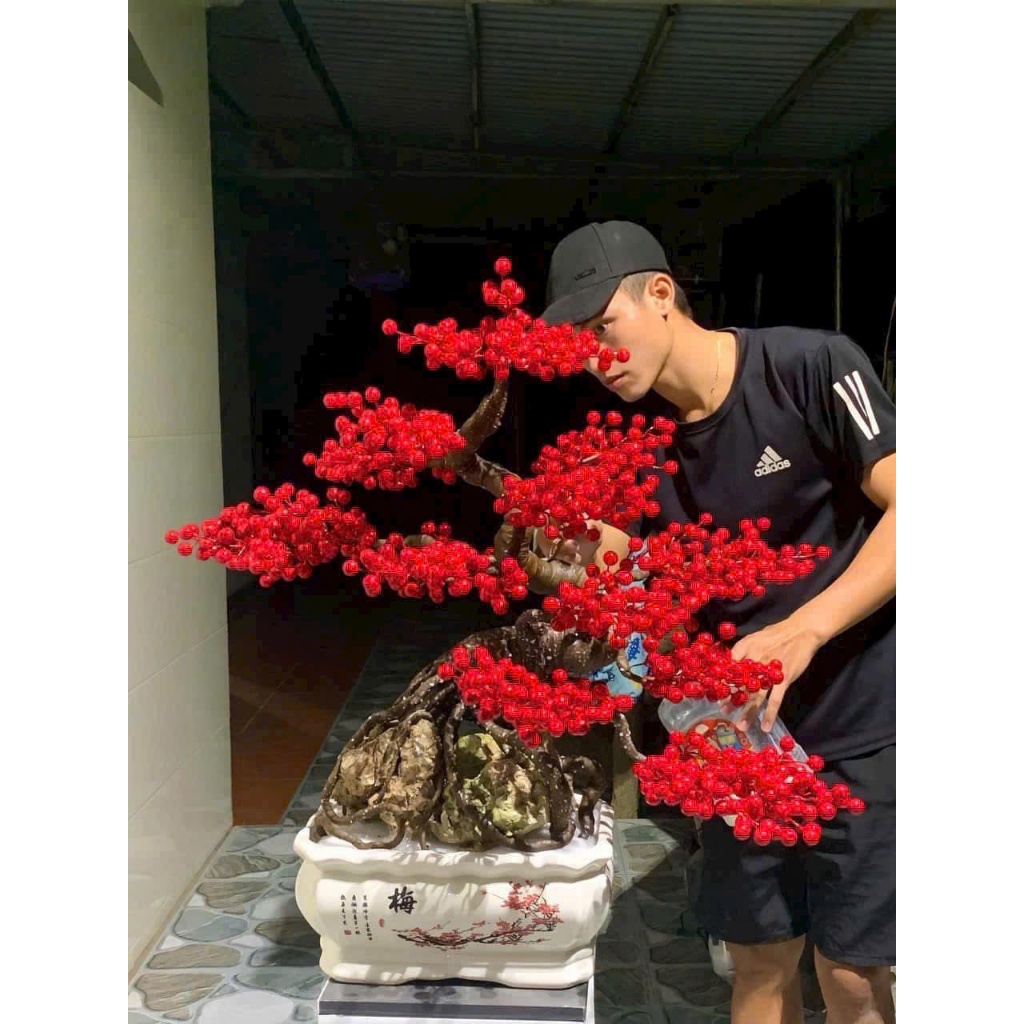 COMBO 50 CÀNH HOA ĐÀO ĐÔNG DECOR TẾT