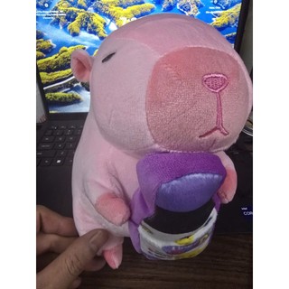Capy dễ thương - quà cho bé yêu- Kích thước 40cm, 100cm