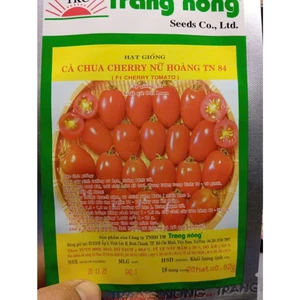 HẠT GIỐNG CÀ CHUA CHERRY NỮ HOÀNG TN 84 - VỊ NGỌT, NGON