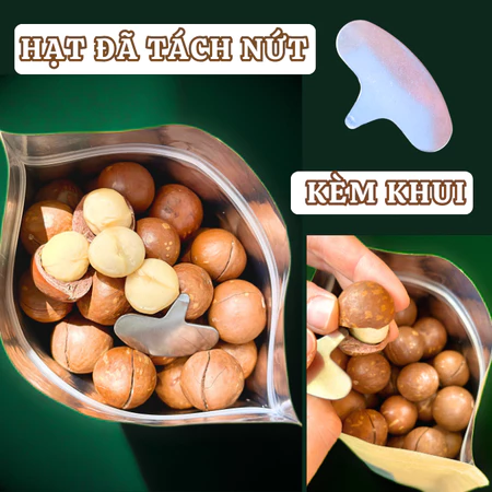 500gr Hạt macca Organic size A Kbang Gia Lai giàu dinh dưỡng, hạt sấy khô định dưỡng