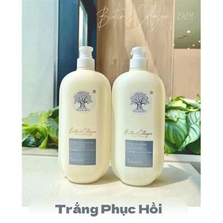 Dầu Gội Xả Voudioty Biotin Collagen 2024 Chống Rụng Tóc, Phục Hồi, Kiểm Soát Dầu - Bebeau