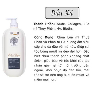 Dầu Gội Xả Voudioty Biotin Collagen 2024 Chống Rụng Tóc, Phục Hồi, Kiểm Soát Dầu - Bebeau
