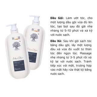 Dầu Gội Xả Voudioty Biotin Collagen 2024 Chống Rụng Tóc, Phục Hồi, Kiểm Soát Dầu - Bebeau