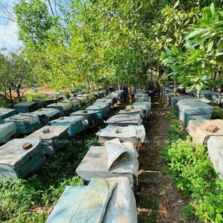Hoa Đu Đủ Đực Ngâm Mật Ong Hoa Nhãn OCOP 4 Sao Lạc Yên Foods, hoa đu đủ đực sấy tươi thiên nhiên