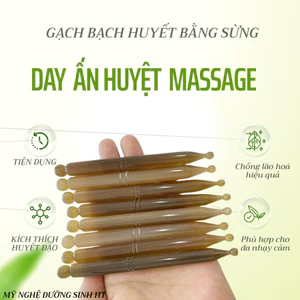 Cây gạch bạch huyết điện chẩn bằng sừng, day ấn huyệt mát xa làm đẹp da tự nhiên - Mỹ nghệ dưỡng sinh HT
