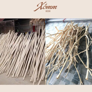 combo 25 Cây Gỗ Khô Tự Nhiên Dùng Decor Thanh Gỗ Làm Giàn Leo Dài 1m đến 4m ( LƯU Ý CHƯA CẠO SẠCH VỎ)