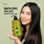 Cặp dầu Gội & Xả Hachi Olive - Sạch Gàu Hết Ngứa