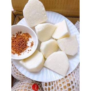 Củ Đậu Ba Tri siêu ngọt, hạt giống củ đậu F1, dễ trồng lên mầm 99%