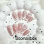 S26 NAIL BOX MẮT MÈO KIM CƯƠNG HỒNG SCONAIL BOX