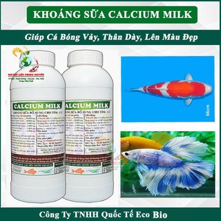 Khoáng sữa bổ sung cho ăn cho tôm cá ốc lươn Calcium Milk 1 lít khoáng ngừa bệnh thiếu khoáng cong thân đục cơ mòn vỏ..