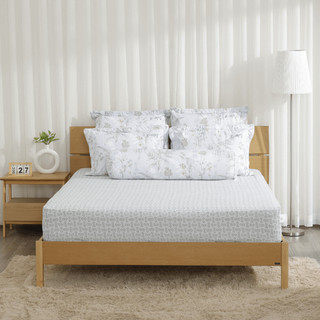 Bộ Ga Chun K-Bedding KMP – Microfiber Mềm Mịn, Thoáng Mát, Họa Tiết Trang Nhã – Size 160x200 ,180x200 Chính Hãng