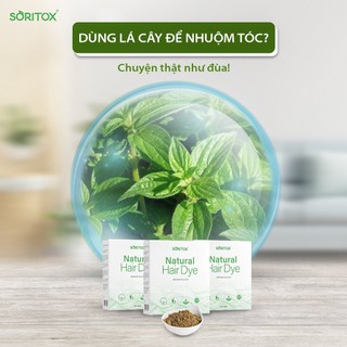 3 Hộp Bột lá nhuộm tóc phủ bạc Soritox, Lên màu tự nhiên, Cải thiện gàu ngứa, Mùi thơm lá cây (Hộp 05 gói mới)