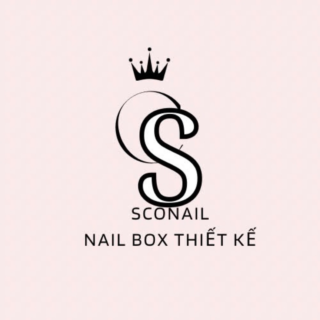 ( hỏa tốc) NAIL BOX MẮT MÈO NUDE TRÁNG GƯƠNG ĐÍNH ĐÁ.