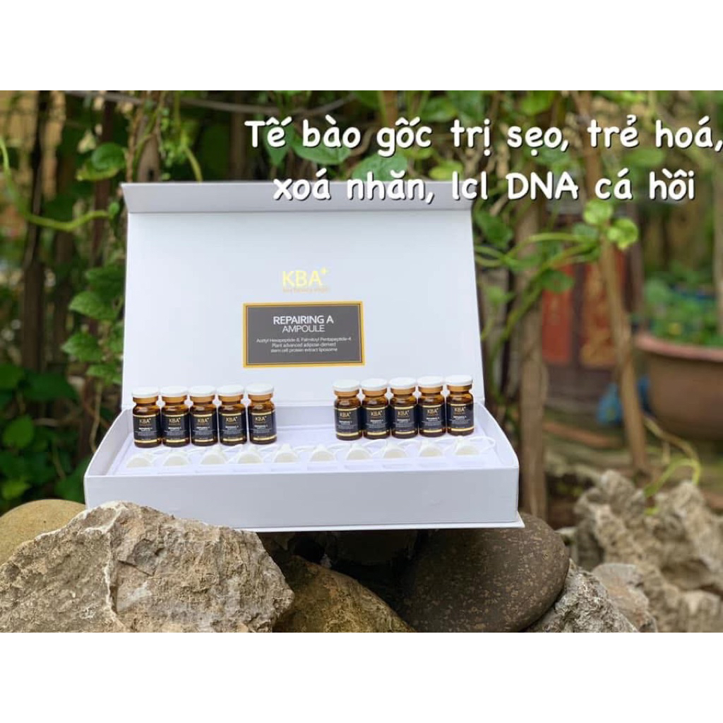 Tế bào gốc xử lý sẹo, chống lão hoá và phục hồi da KBA