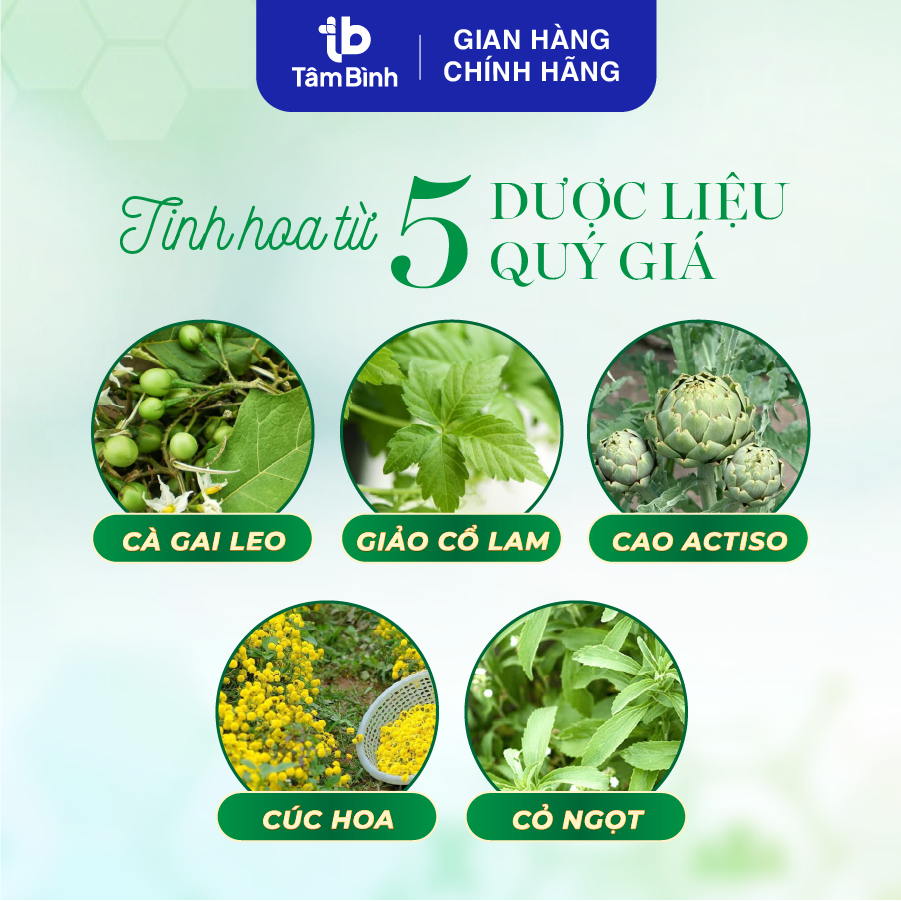 [Trợ giá] Trà mát gan thanh nhiệt Tâm Bình (1 hộp 20 túi lọc) – Thưởng thức vị trà thơm mát, thư thái tự nhiên