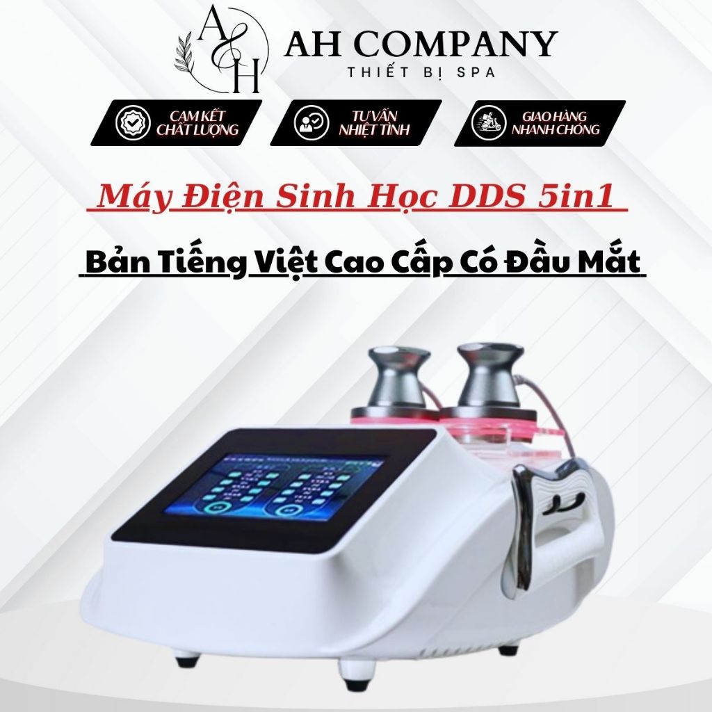 Máy Điện Sinh Học DDS 5 in1, Máy Giãn Cơ Đả Thông Kinh Lạc Bản Tiếng Việt Dùng Được 5 Chức Năng Cùng Nhau Bh 12 tháng