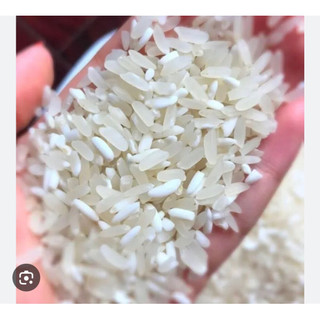 Gạo séng cù hạt dài( túi 5kg)
