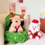 Gấu Bông Noel Tuần Lộc, Người Tuyết, Cây Thông Ông Già Noel Quà Tặng Giáng Sinh Cho Người Thân Yêu